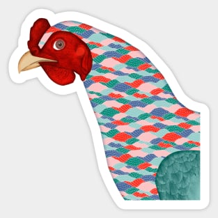 Hen Colorful Chicken Watching You Sticker